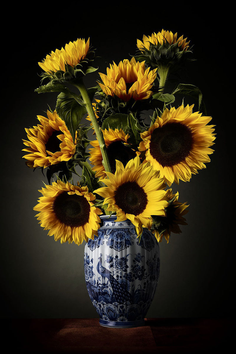 Hans Pieterse — Royal Gold, fotografie (gloss-finish)