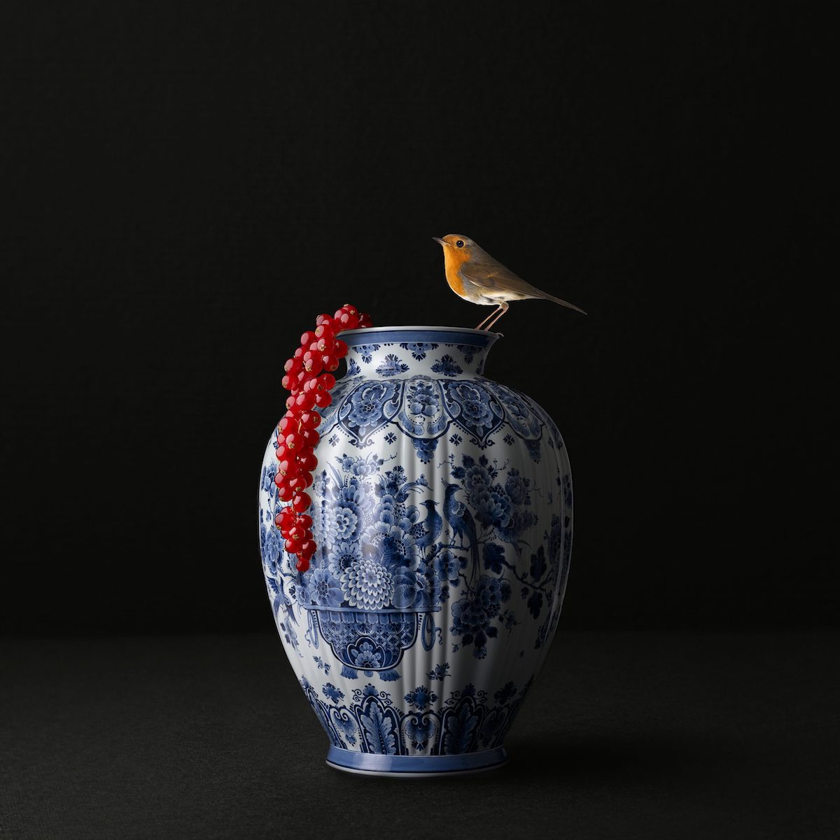 Hans Pieterse — Red Bird, fotografie (gloss-finish)