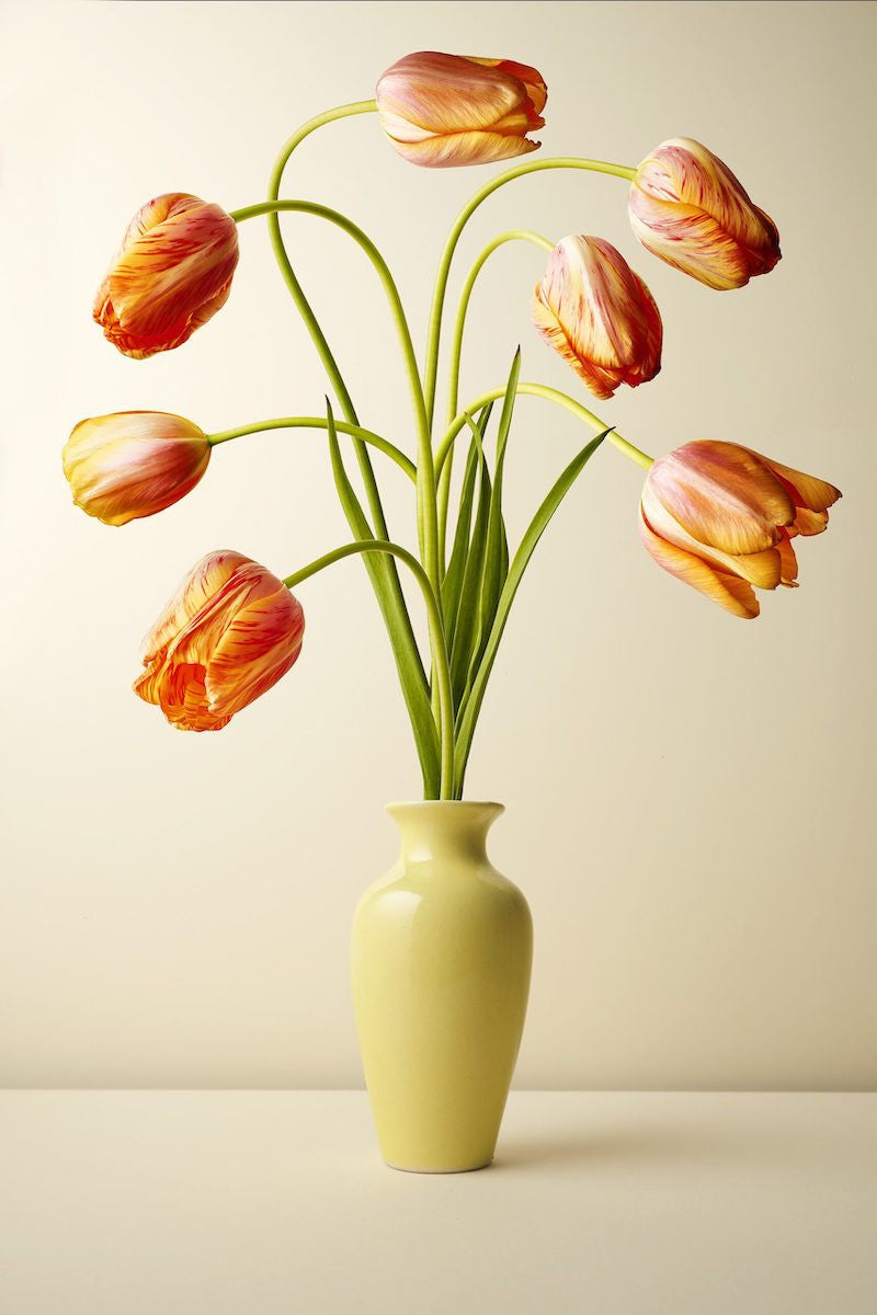 Hans Pieterse — Yellow Mill (medium)