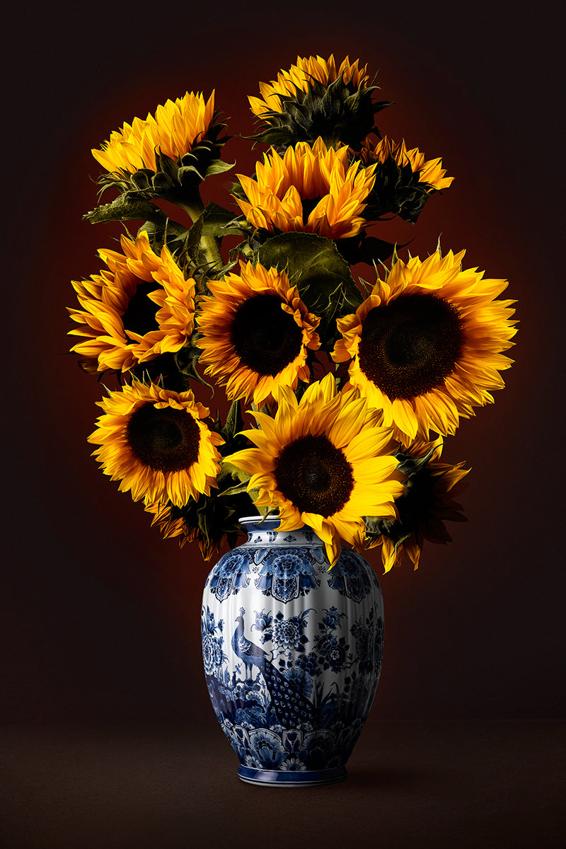 Hans Pieterse — The Sunny One, fotografie (gloss-finish)