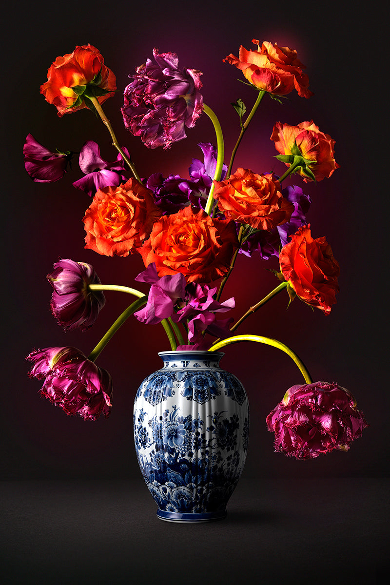 Hans Pieterse — Wild Roses