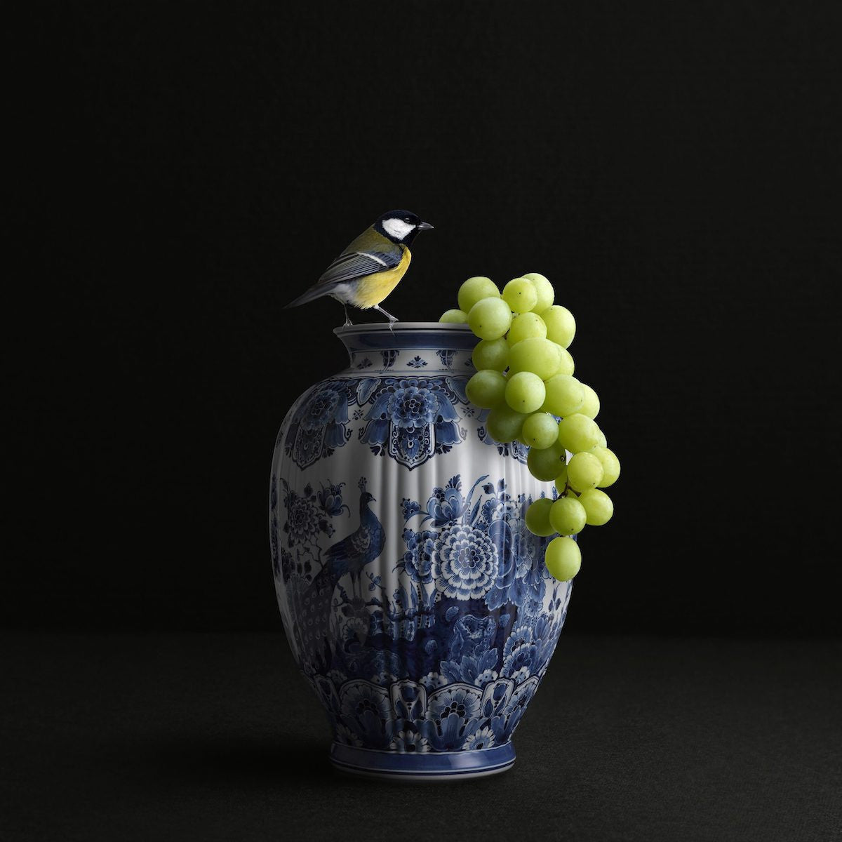 Hans Pieterse — Hungry Bird, fotografie (gloss-finish)