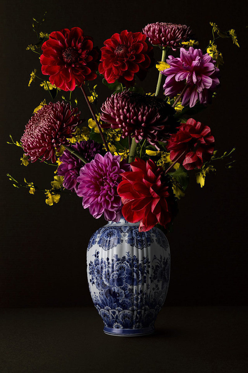 Hans Pieterse — Royal Red (small)