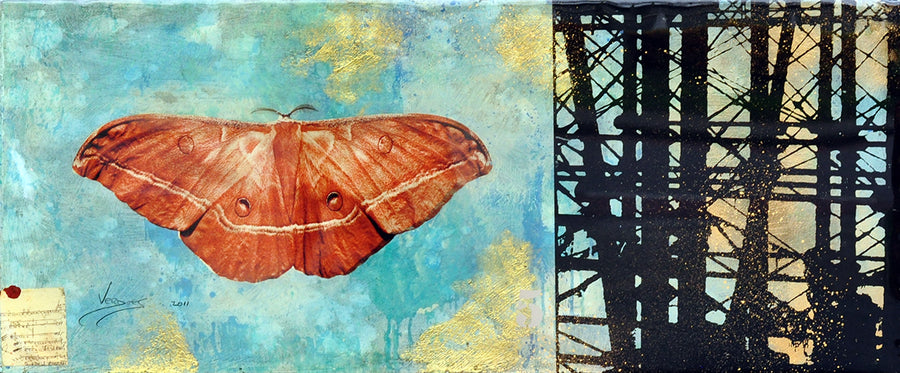 Mark Verdoes — Silk Moth India 2