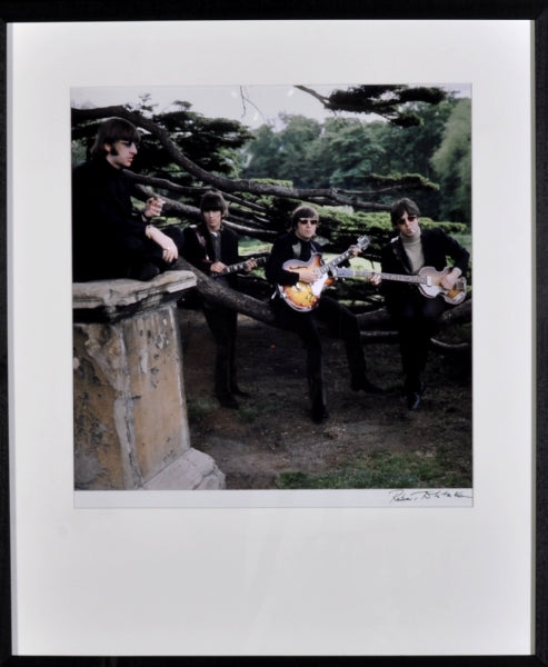 Robert Whitaker — Chiswick Park 1 "Rain", foto