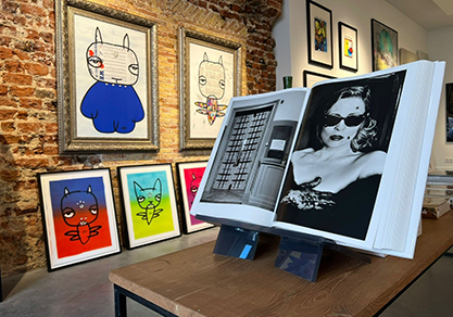 Hoe werkt IQ-kunst?